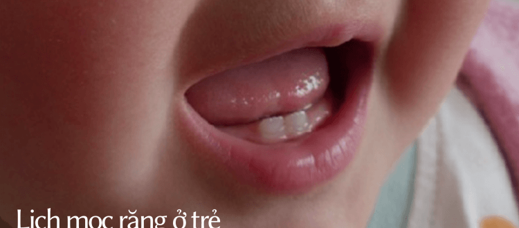 Lịch mọc răng