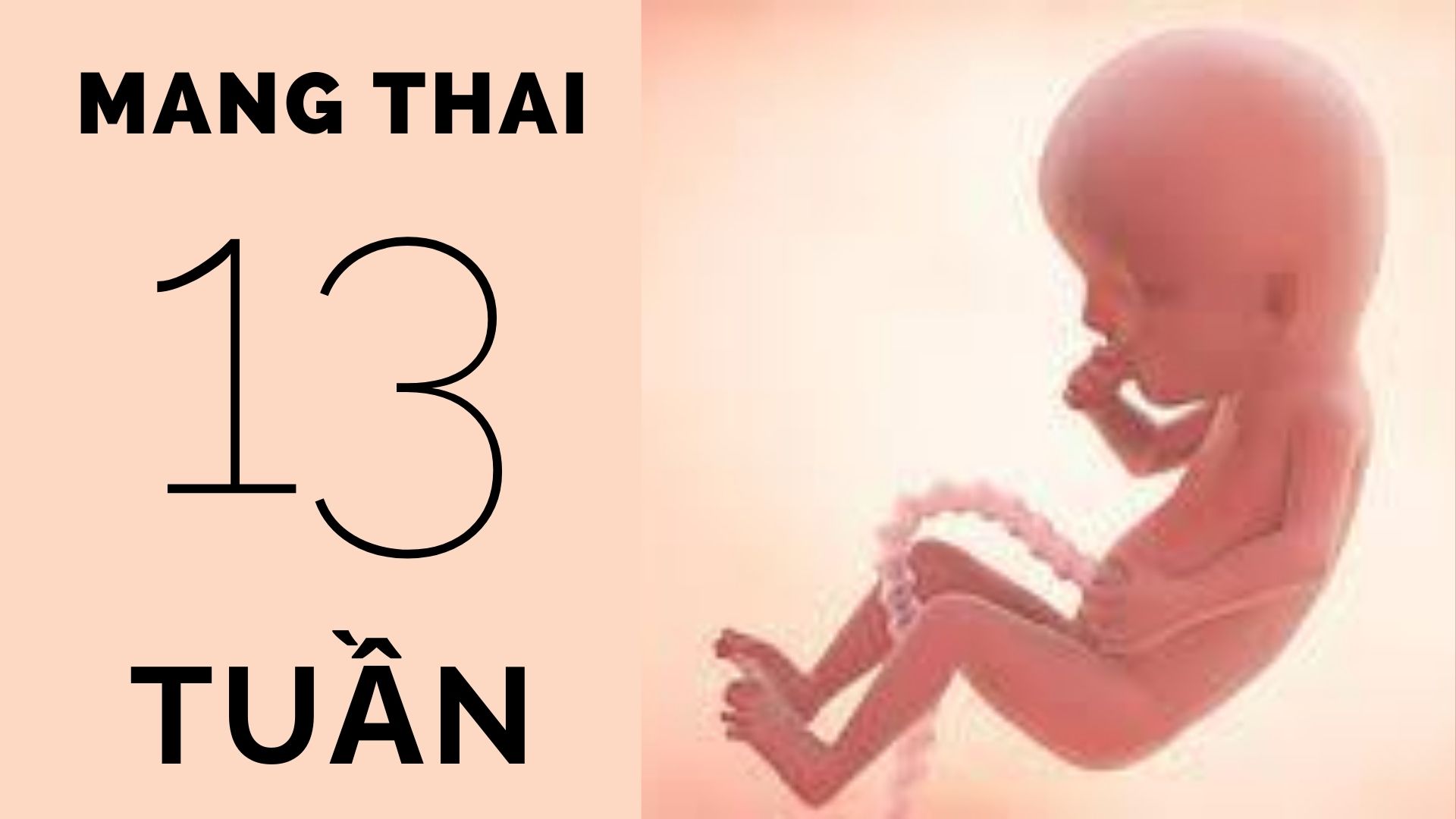 Thai 13 tuần