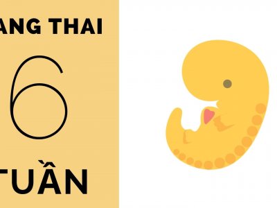 Thai 6 tuần