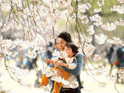Cha mẹ Nhật
