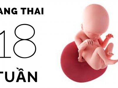 Thai 18 tuần