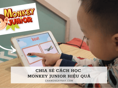 monkey junior