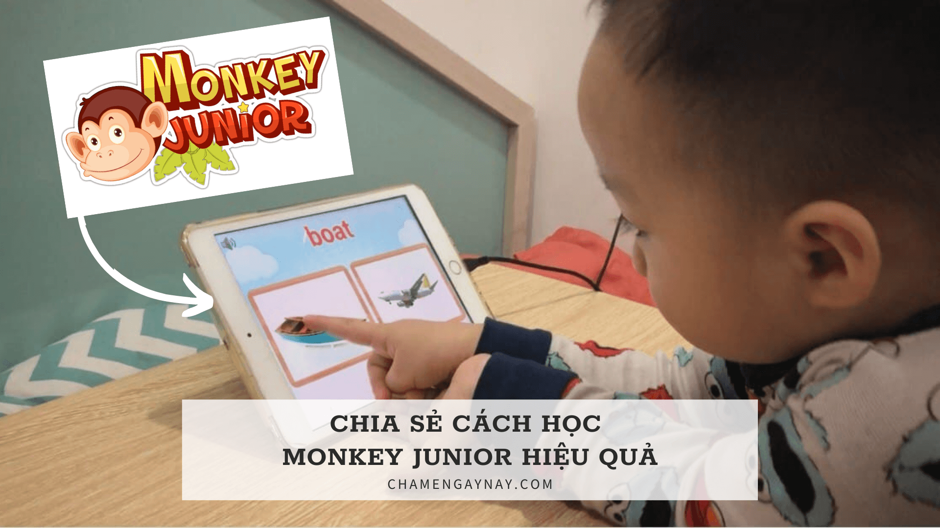 monkey junior